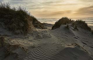 Les dunes au coucher de soleil