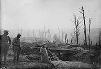 Forêt d'Argonne et Bois de la Gruerie