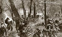 Forêt d'Argonne et Bois de la Gruerie