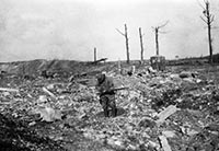 Forêt d'Argonne et Bois de la Gruerie