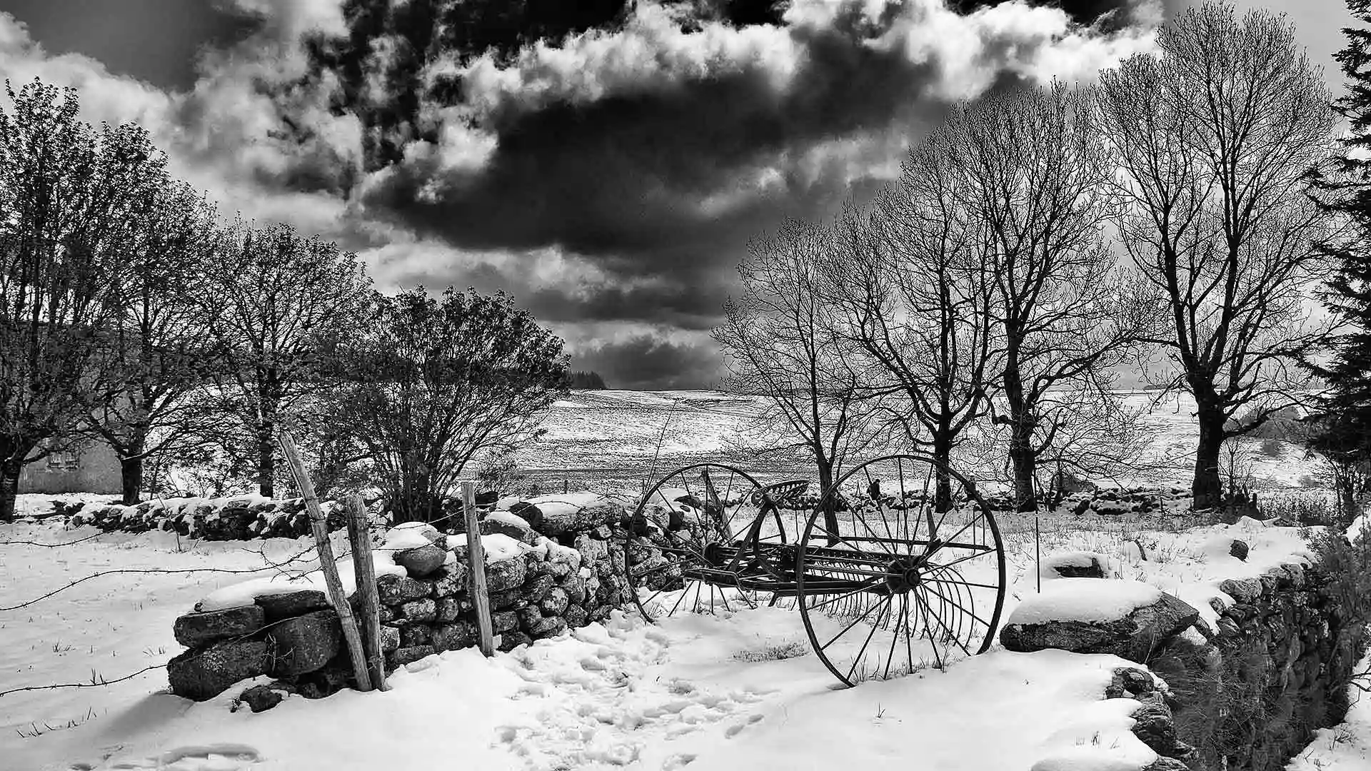 Photos en Noir et Blanc de paysages - Mer, montagne et campagne
