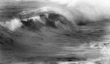 La Vague